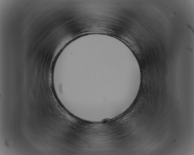 X0000097511188200803201608