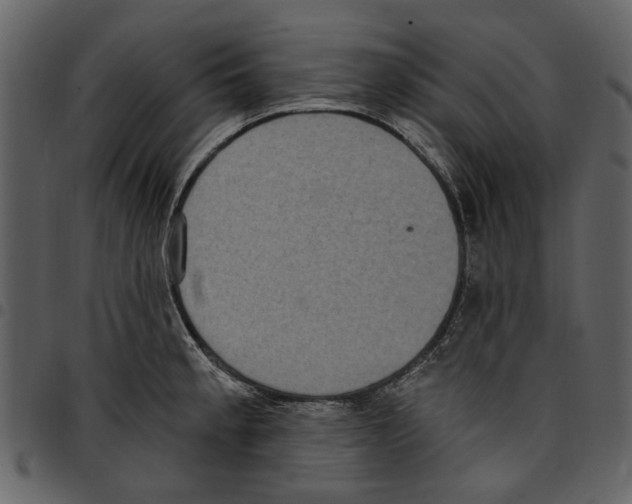 X0000097511189200803201608