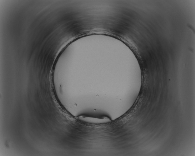 X0000097511190200803201608