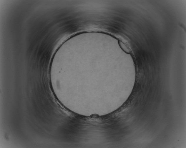 X0000097511191200803201608