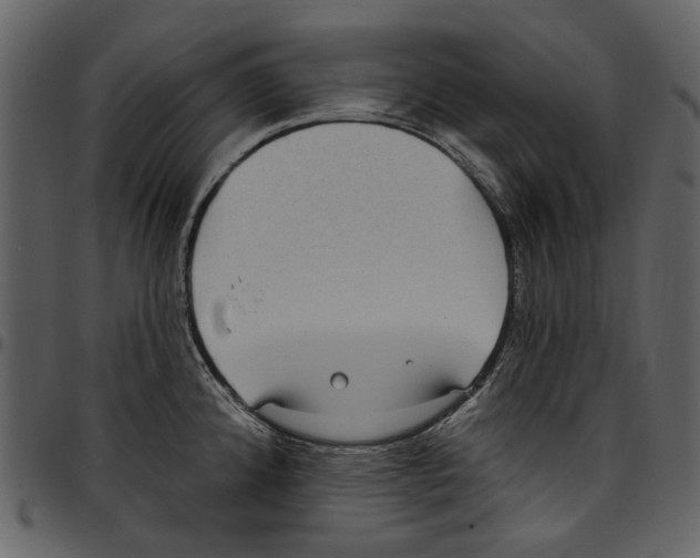 X0000097511192200803201608