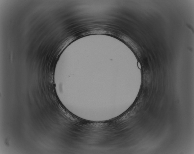 X0000097511193200803201608