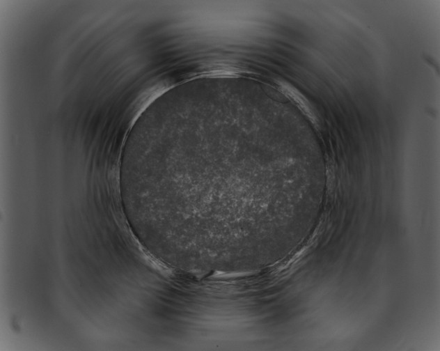 X0000097511194200803201608
