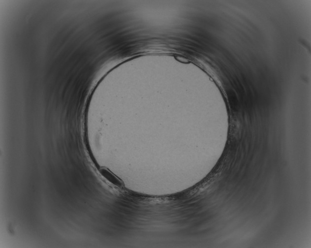X0000097511195200803201608
