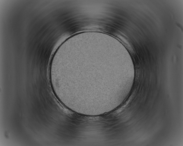 X0000097511196200803201608