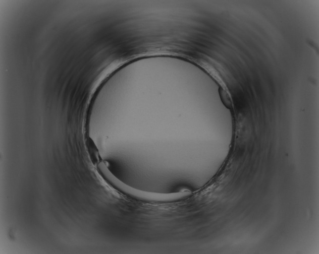 X0000097511197200803201608