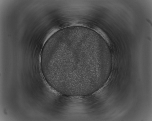 X0000097511198200803201608