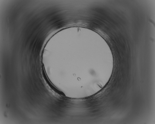 X0000097511200200803201608