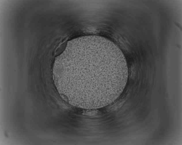 X0000097511201200803201607