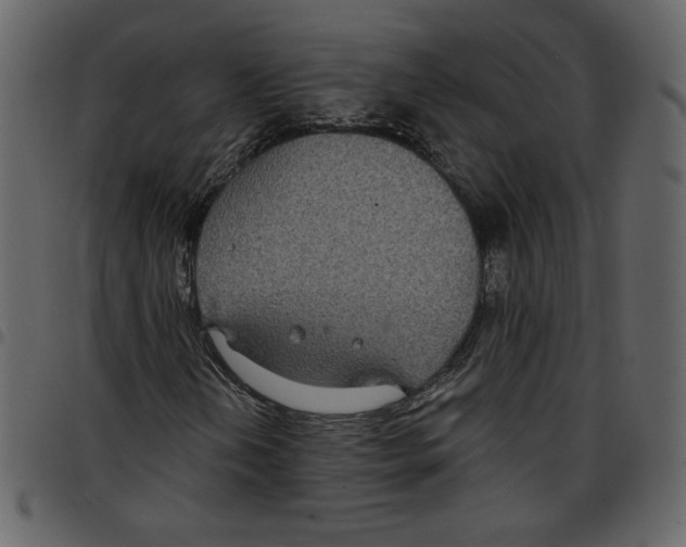 X0000097511202200803201607
