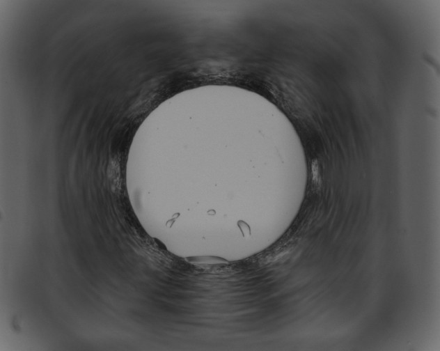 X0000097511203200803201607