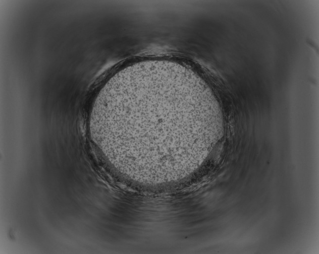X0000097511206200803201608