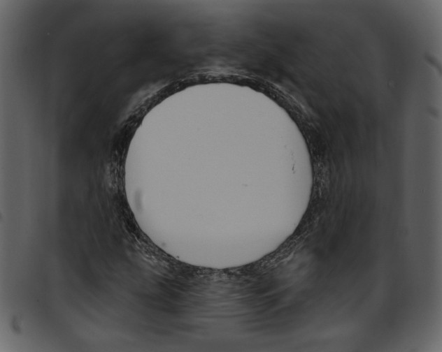 X0000097511207200803201608