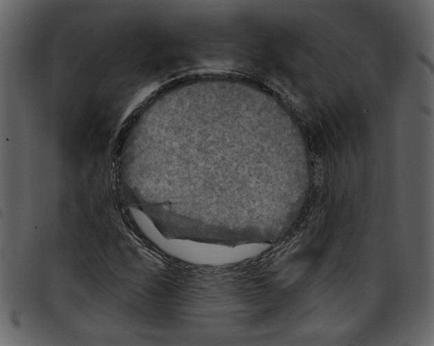 X0000097511208200803201608