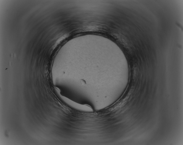 X0000097511210200803201608