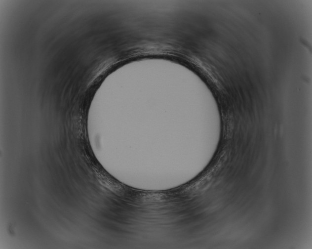 X0000097511211200803201608