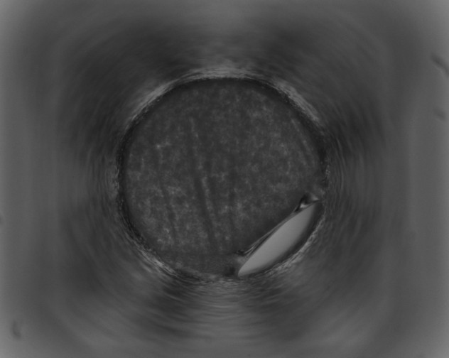 X0000097511213200803201608