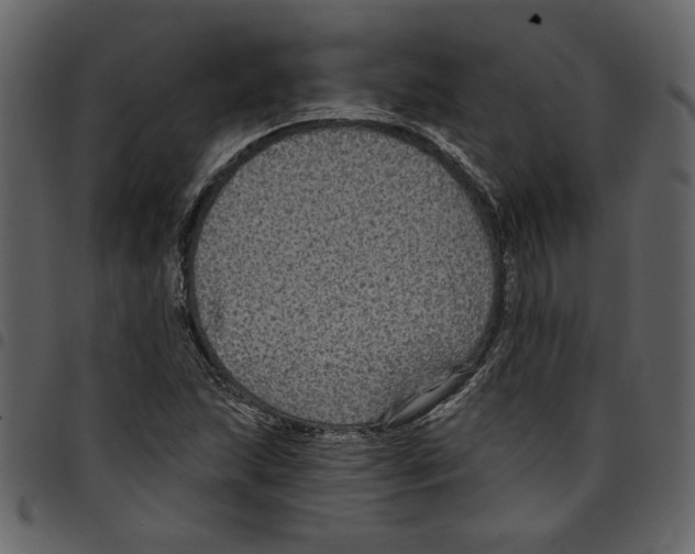 X0000097511215200803201608