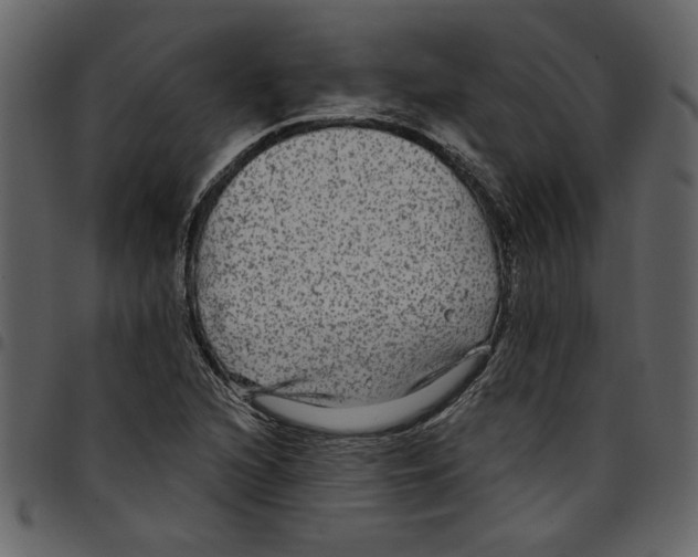 X0000097511216200803201608