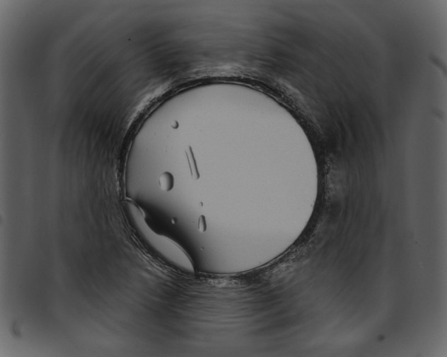 X0000097511218200803201608