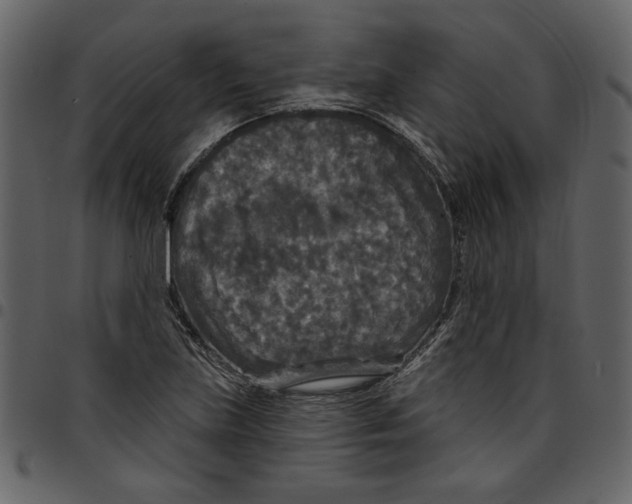 X0000097511219200803201608