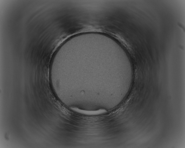 X0000097511220200803201608