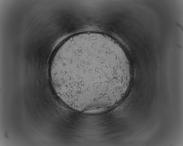 X0000097511222200803201608