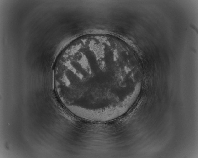 X0000097511223200803201608