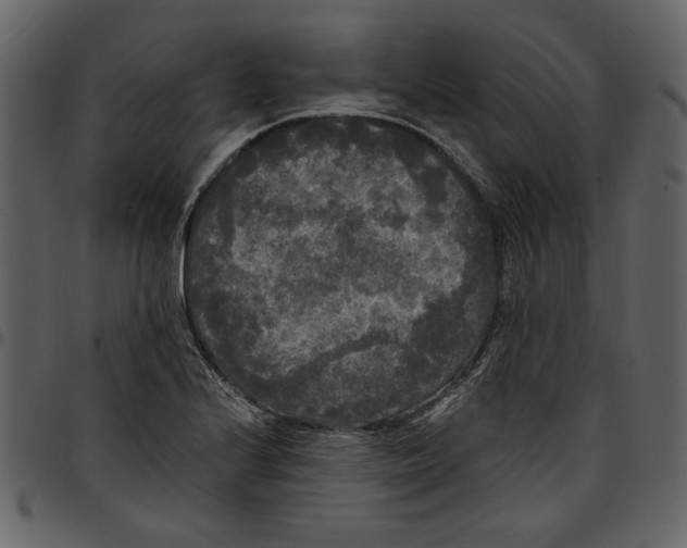 X0000097511224200803201608
