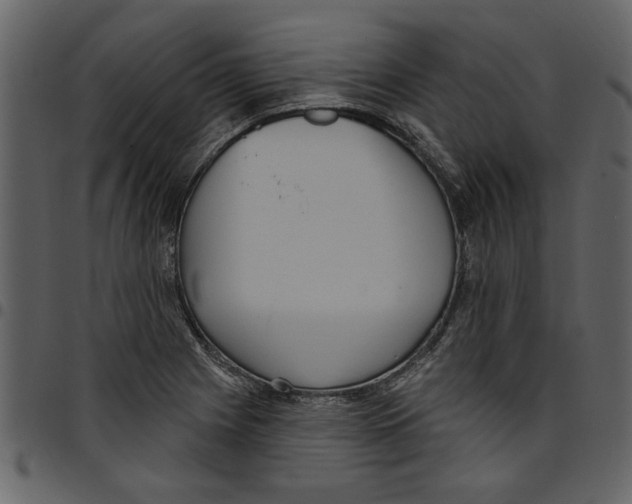 X0000097511225200803201608