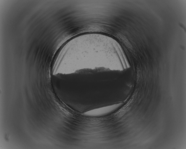 X0000097511226200803201608