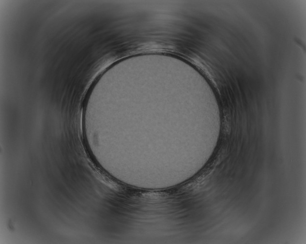 X0000097511227200803201608