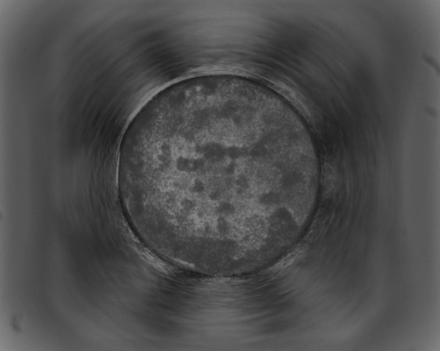 X0000097511228200803201608