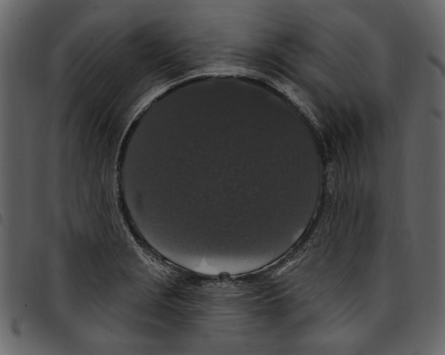 X0000097511229200803201608