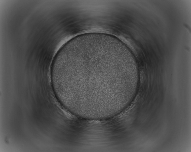 X0000097511230200803201608