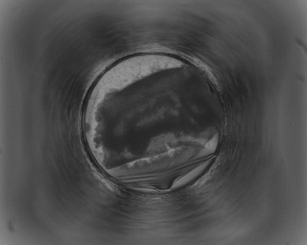 X0000097511231200803201608