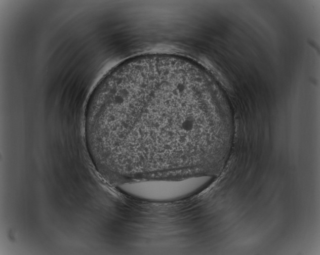 X0000097511232200803201608
