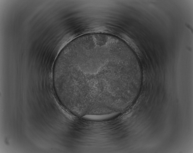 X0000097511234200803201608