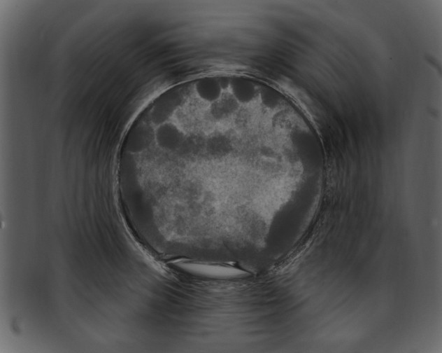 X0000097511235200803201608