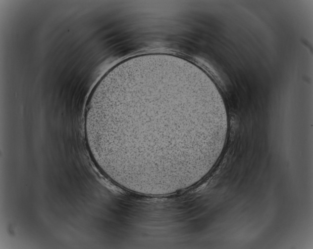 X0000097511236200803201608