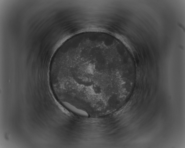 X0000097511237200803201608