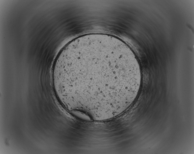 X0000097511238200803201608