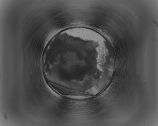 X0000097511239200803201608