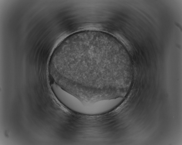 X0000097511240200803201608