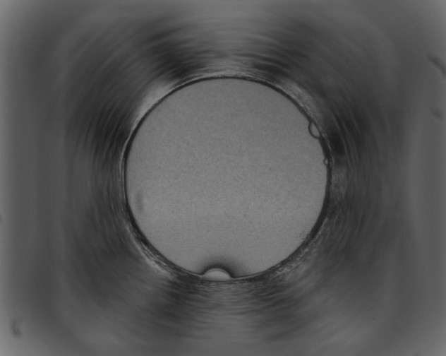X0000097511242200803201608