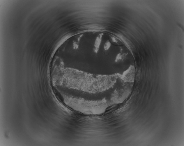 X0000097511243200803201608