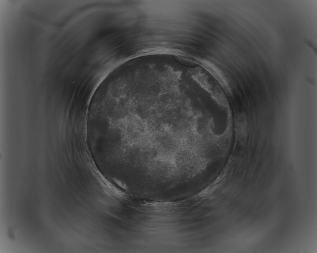 X0000097511244200803201608