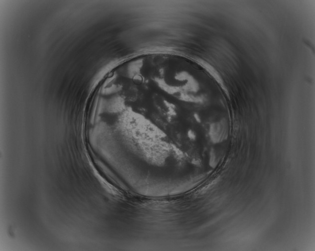 X0000097511245200803201608