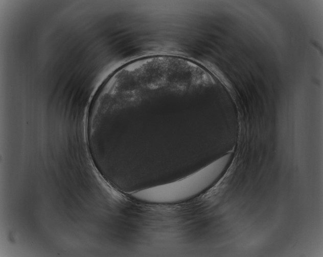 X0000097511246200803201608