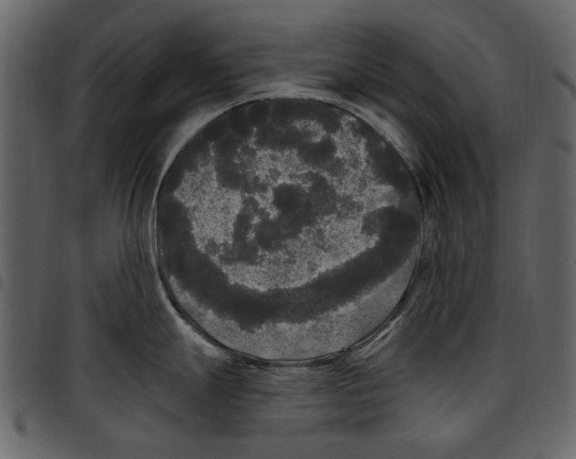 X0000097511247200803201608